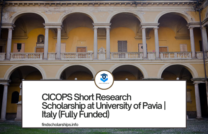 CICOPS Short Research Scholarship at University of Pavia Italy (Fully Funded)