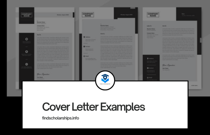 Cover Letter Examples