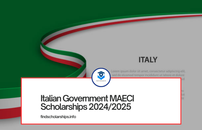 Italian Government MAECI Scholarships 20242025